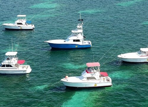 Private Photo Sessions, Photo Tours and Excursions in Punta Cana | Photour Pro