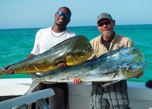 Private Photo Sessions, Photo Tours and Excursions in Punta Cana | Photour Pro