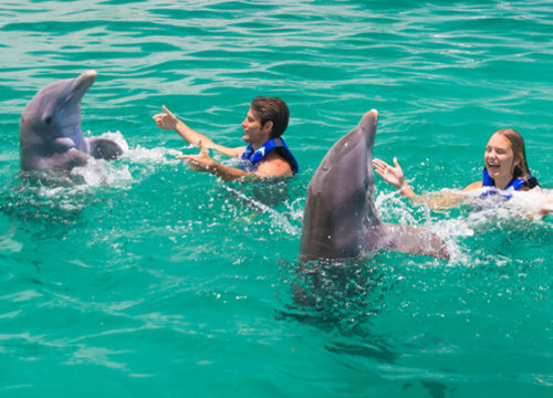 Private Photo Sessions, Photo Tours and Excursions in Punta Cana | Photour Pro