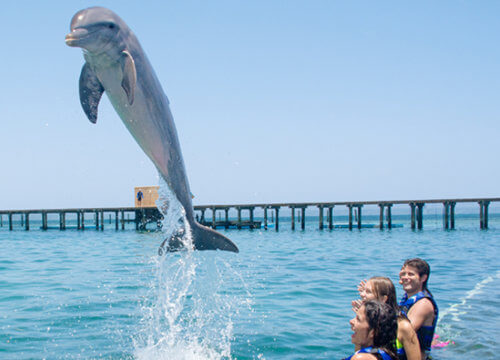 Private Photo Sessions, Photo Tours and Excursions in Punta Cana | Photour Pro