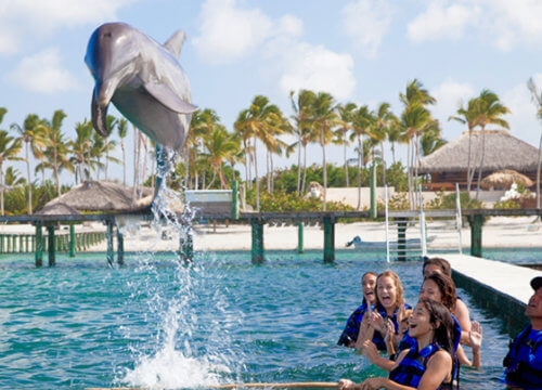 Private Photo Sessions, Photo Tours and Excursions in Punta Cana | Photour Pro